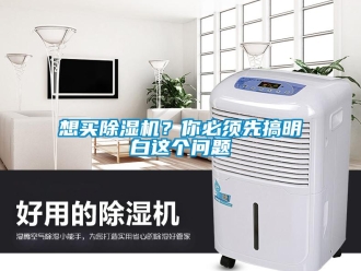 行業(yè)新聞想買(mǎi)除濕機(jī)？你必須先搞明白這個(gè)問(wèn)題