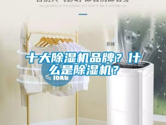 企業(yè)新聞十大除濕機(jī)品牌？什么是除濕機(jī)？