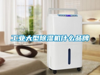 常見(jiàn)問(wèn)題工業(yè)大型除濕機(jī)什么品牌