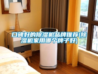 企業新聞口碑好的除濕機品牌推薦(除濕機家用哪個牌子好)