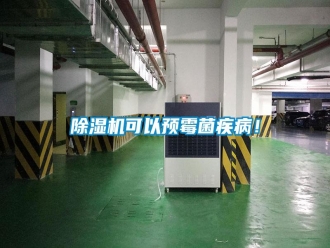 行業新聞除濕機可以預霉菌疾??！