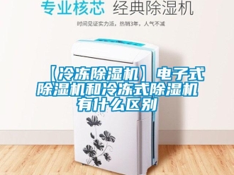 企業(yè)新聞【冷凍除濕機(jī)】電子式除濕機(jī)和冷凍式除濕機(jī)有什么區(qū)別