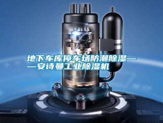 企業(yè)新聞地下車庫(kù)停車場(chǎng)防潮除濕——安詩(shī)曼工業(yè)除濕機(jī)
