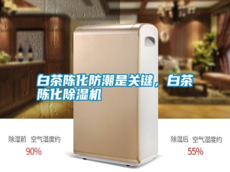行業(yè)新聞白茶陳化防潮是關(guān)鍵，白茶陳化除濕機(jī)