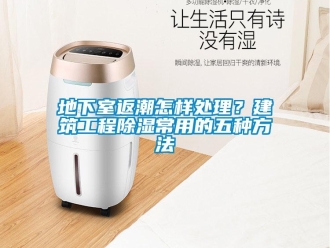 企業(yè)新聞地下室返潮怎樣處理？建筑工程除濕常用的五種方法