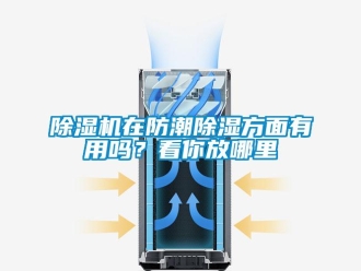 行業(yè)新聞除濕機在防潮除濕方面有用嗎？看你放哪里
