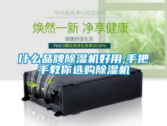 企業新聞什么品牌除濕機好用,手把手教你選購除濕機