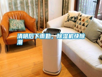 知識百科清明后下雨勤，除濕機快除潮