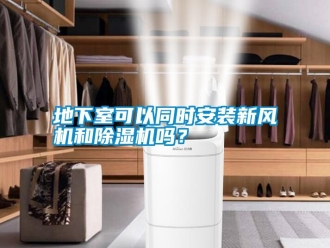 行業新聞地下室可以同時安裝新風機和除濕機嗎？