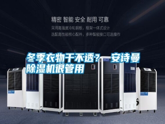 行業(yè)新聞冬季衣物干不透？ 安詩曼除濕機(jī)很管用