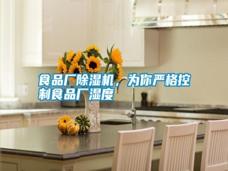 知識(shí)百科食品廠除濕機(jī)，為你嚴(yán)格控制食品廠濕度