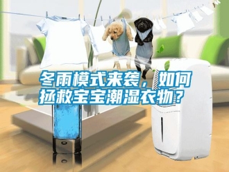 行業新聞冬雨模式來襲，如何拯救寶寶潮濕衣物？