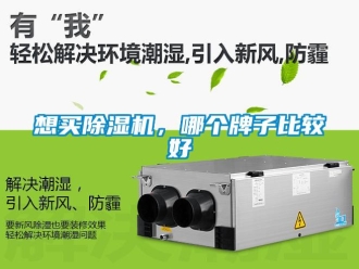 行業(yè)新聞想買(mǎi)除濕機(jī)，哪個(gè)牌子比較好