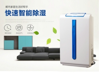行業(yè)新聞迷你型轉輪除濕機6.5kg／h