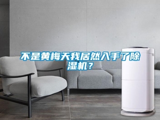 企業(yè)新聞不是黃梅天我居然入手了除濕機(jī)？