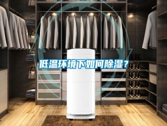 行業(yè)新聞低溫環(huán)境下如何除濕？