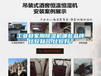 常見問題工業(yè)和家用除濕機哪些品牌比較知名,比較好？