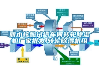 企業新聞麗水核酸試紙車間轉輪除濕機廠家批發,轉輪除濕機組