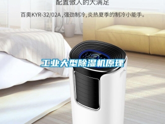 常見(jiàn)問(wèn)題工業(yè)大型除濕機(jī)原理