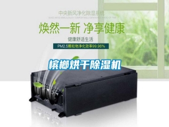 行業新聞檳榔烘干除濕機