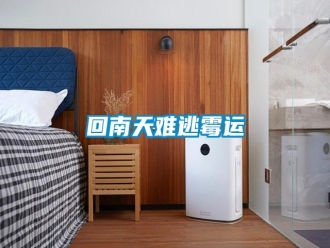 企業新聞回南天難逃霉運