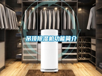 企業新聞吊頂除濕機功能簡介