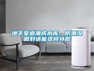 企業(yè)新聞地下室返潮成水庫(kù)，防潮沒做好還能這樣補(bǔ)救