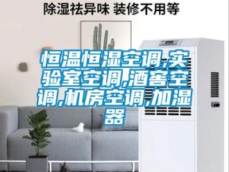 知識百科恒溫恒濕空調(diào),實驗室空調(diào),酒窖空調(diào),機房空調(diào),加濕器