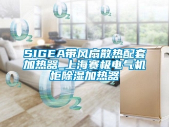 企業(yè)新聞SIGEA帶風(fēng)扇散熱配套加熱器_上海賽極電氣機(jī)柜除濕加熱器