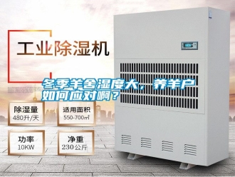 行業(yè)新聞冬季羊舍濕度大，養(yǎng)羊戶如何應(yīng)對(duì)啊？