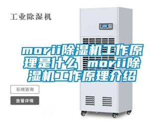 企業新聞morii除濕機工作原理是什么 morii除濕機工作原理介紹