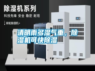 知識百科清明雨多濕氣重，除濕機(jī)可快除濕