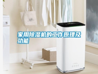 企業(yè)新聞家用除濕機(jī)的工作原理及功能