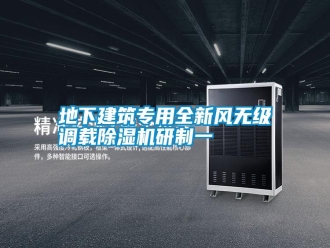 行業(yè)新聞地下建筑專用全新風無級調(diào)載除濕機研制一