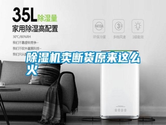 行業(yè)新聞除濕機(jī)賣斷貨原來這么火