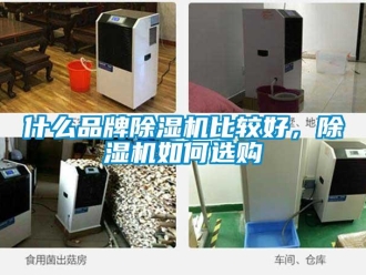 企業新聞什么品牌除濕機比較好，除濕機如何選購