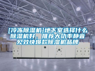 企業新聞[冷凍除濕機]地下室選擇什么除濕機好，推薦大功率靜音見效快爆款除濕機品牌