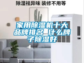 企業(yè)新聞家用除濕機(jī)十大品牌排名 什么牌子除濕好