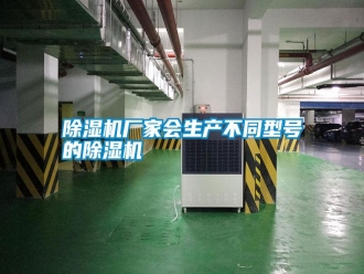 行業(yè)新聞除濕機(jī)廠家會生產(chǎn)不同型號的除濕機(jī)