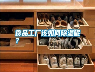 知識百科食品工廠該如何除濕呢？