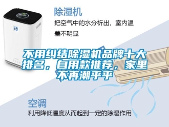 企業新聞不用糾結除濕機品牌十大排名，自用款推薦，家里不再潮乎乎