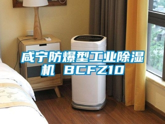 企業(yè)新聞咸寧防爆型工業(yè)除濕機(jī) BCFZ10