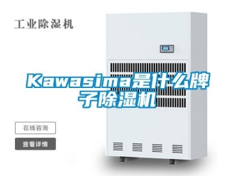 企業(yè)新聞Kawasima是什么牌子除濕機