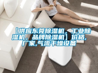 企業(yè)新聞【供應(yīng)東莞除濕機(jī)，工業(yè)除濕機(jī)，品牌除濕機(jī)】?jī)r(jià)格,廠家,氣流干燥設(shè)備