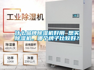 企業新聞什么品牌除濕機好用 想買除濕機，哪個牌子比較好？