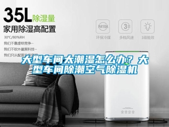企業新聞大型車間太潮濕怎么辦？大型車間除潮空氣除濕機