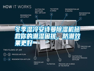 行業(yè)新聞冬季濕冷安詩曼除濕機(jī)拯救你的潮濕困擾，防潮效果更好
