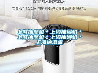 企業新聞上海抽濕機＊上海抽濕機＊上海抽濕機＊上海抽濕機＊上海抽濕機