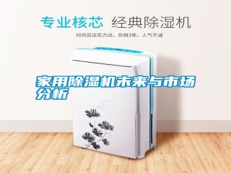 企業(yè)新聞家用除濕機(jī)未來與市場分析