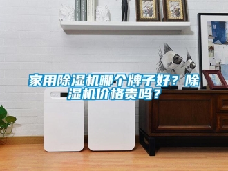 企業(yè)新聞家用除濕機(jī)哪個牌子好？除濕機(jī)價(jià)格貴嗎？
